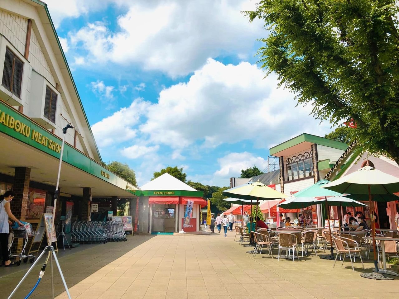 🐷 돼지 테마파크 사이보쿠 이미지 1